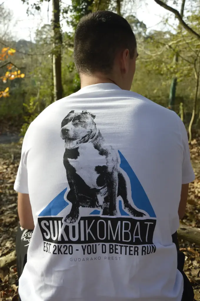 AKILES | Camiseta